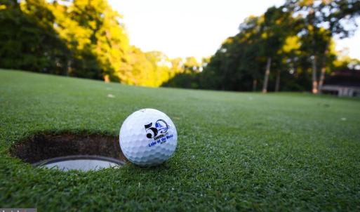 Photo #12 of 201 CUMBERLAND CIR, LOCUST GROVE, VA 0.3 acres