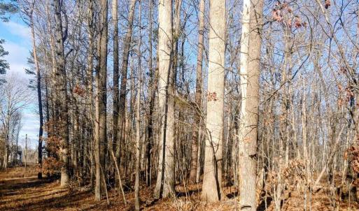 Photo #1 of RIXEYVILLE RD. RTE. 229/ LOT 1 NEXT TO KIMBER LANE, CULPEPER, VA 5.0 acres
