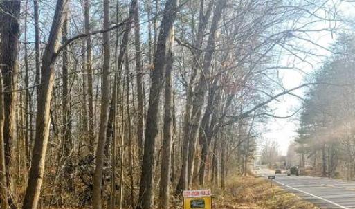 Photo #3 of RIXEYVILLE RD. RTE 229, ADJ TO LOT 1, CULPEPER, VA 5.0 acres