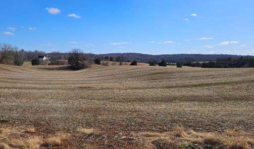 Photo #1 of RYLAND CHAPEL RD, RIXEYVILLE, VA 25.0 acres