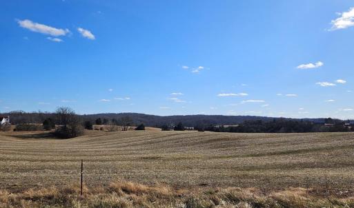 Photo #3 of RYLAND CHAPEL RD, RIXEYVILLE, VA 25.0 acres