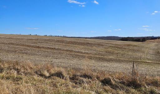 Photo #3 of RYLAND CHAPEL RD, RIXEYVILLE, VA 25.0 acres