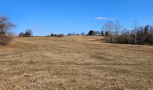 Photo #4 of PRIVATE LANE, RIXEYVILLE, VA 20.0 acres