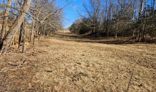 Photo #5 of PRIVATE LANE, RIXEYVILLE, VA 20.0 acres