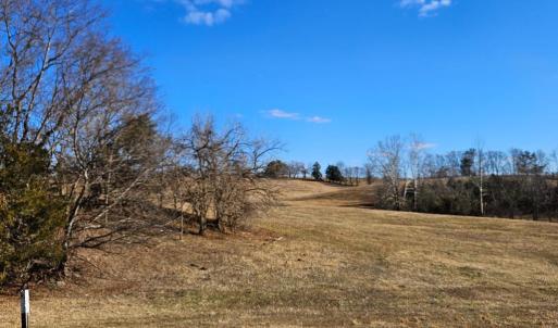 Photo #4 of PRIVATE LANE, RIXEYVILLE, VA 20.0 acres