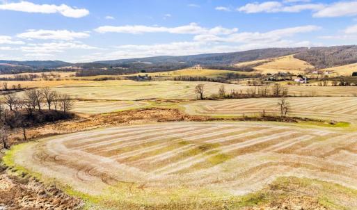 Photo #12 of 1041 WINCHESTER RD, PARIS, VA 209.4 acres