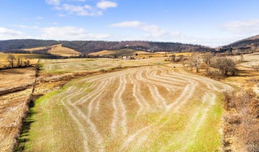 Photo #5 of 1041 WINCHESTER RD, PARIS, VA 209.4 acres