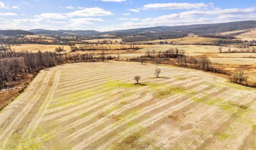 Photo #9 of 1041 WINCHESTER RD, PARIS, VA 209.4 acres