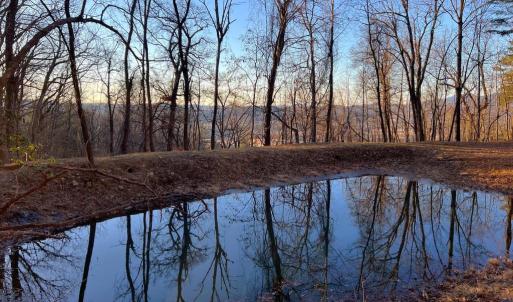 Photo #6 of REDIVIVA LN, WASHINGTON, VA 52.5 acres