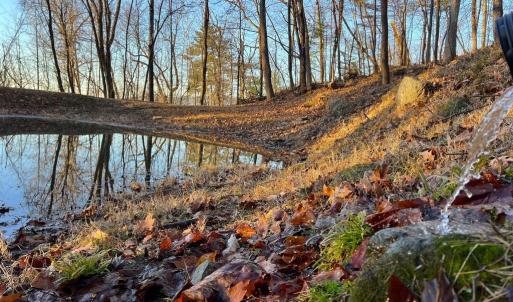 Photo #7 of REDIVIVA LN, WASHINGTON, VA 52.5 acres