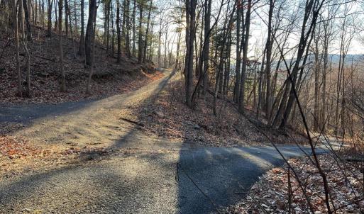 Photo #9 of REDIVIVA LN, WASHINGTON, VA 52.5 acres