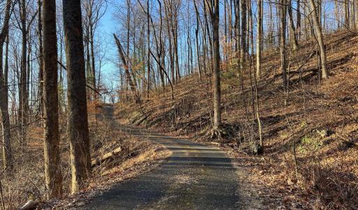 Photo #12 of REDIVIVA LN, WASHINGTON, VA 52.5 acres