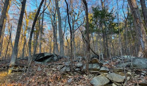 Photo #8 of REDIVIVA LN, WASHINGTON, VA 52.5 acres