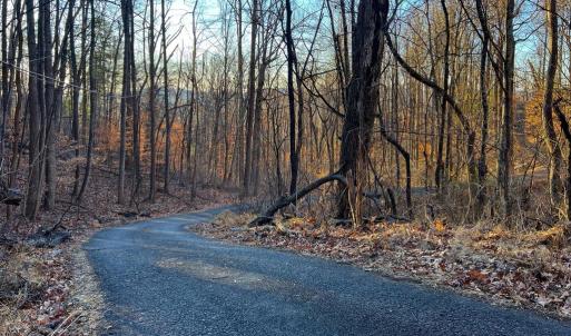 Photo #11 of REDIVIVA LN, WASHINGTON, VA 52.5 acres