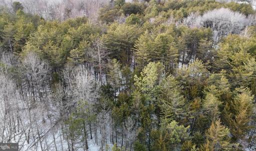 Photo #9 of FIELDSTONE LN, RHOADESVILLE, VA 5.0 acres