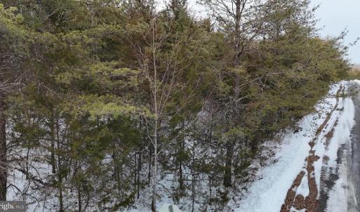 Photo #10 of FIELDSTONE LN, RHOADESVILLE, VA 5.0 acres