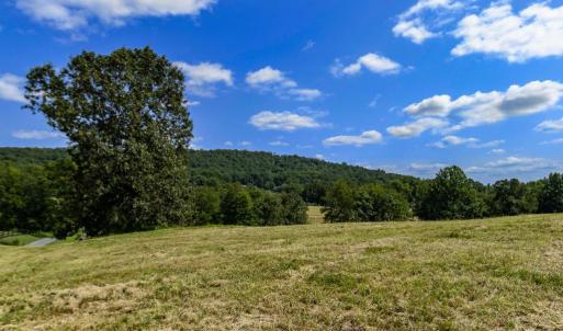 Photo #7 of CLARENDON FARM DR, MARSHALL, VA 50.0 acres