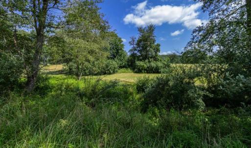 Photo #14 of CLARENDON FARM DR, MARSHALL, VA 50.0 acres