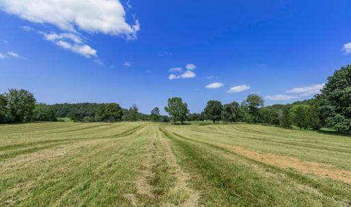 Photo #19 of CLARENDON FARM DR, MARSHALL, VA 50.0 acres