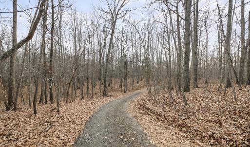 Photo #4 of 7389 LEEDS MANOR RD, MARSHALL, VA 101.0 acres