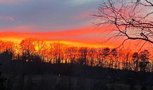 Photo #18 of 7389 LEEDS MANOR RD, MARSHALL, VA 101.0 acres