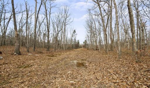 Photo #11 of 7389 LEEDS MANOR RD, MARSHALL, VA 101.0 acres