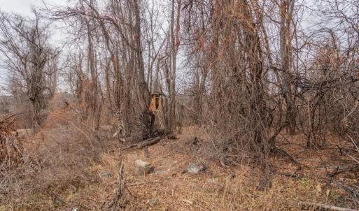 Photo #3 of SHORT CUT RD, STANLEY, VA 0.8 acres