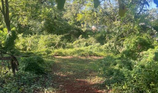 Photo #2 of JAMES MADISON HWY, GORDONSVILLE, VA 7.4 acres