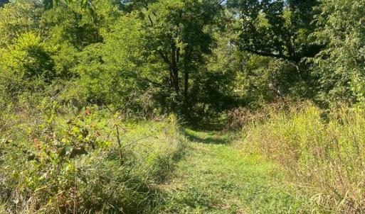 Photo #3 of JAMES MADISON HWY, GORDONSVILLE, VA 7.4 acres