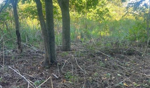 Photo #5 of JAMES MADISON HWY, GORDONSVILLE, VA 7.4 acres