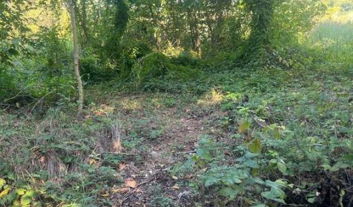 Photo #6 of JAMES MADISON HWY, GORDONSVILLE, VA 7.4 acres