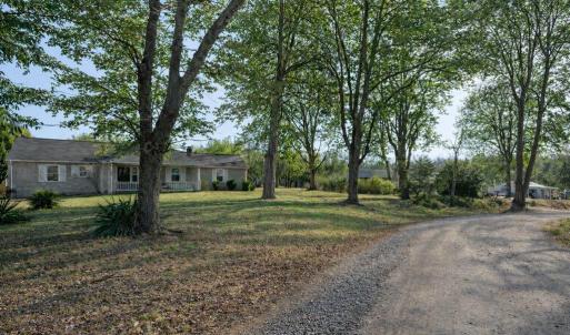 Photo #3 of 14477 HAZEL RIVER CHURCH RD, RIXEYVILLE, VA 50.5 acres