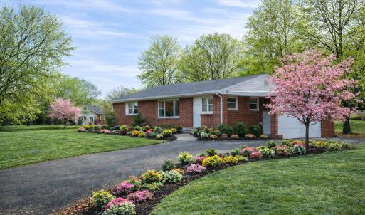 Photo #3 of 14477 HAZEL RIVER CHURCH RD, RIXEYVILLE, VA 50.5 acres