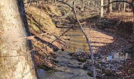 Photo #6 of 1064 HUNTERS LODGE RD, TROY, VA 10.2 acres