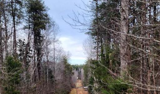 Photo #9 of 1064 HUNTERS LODGE RD, TROY, VA 10.2 acres