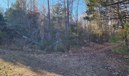 Photo #10 of 1064 HUNTERS LODGE RD, TROY, VA 10.2 acres