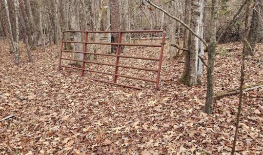 Photo #11 of 1064 HUNTERS LODGE RD, TROY, VA 10.2 acres