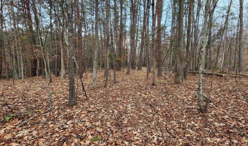 Photo #12 of 1064 HUNTERS LODGE RD, TROY, VA 10.2 acres