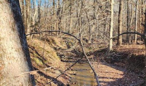 Photo #13 of 1064 HUNTERS LODGE RD, TROY, VA 10.2 acres