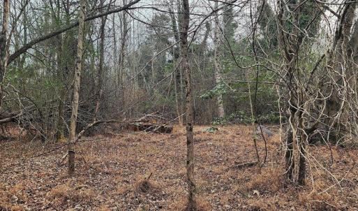 Photo #15 of 1064 HUNTERS LODGE RD, TROY, VA 10.2 acres