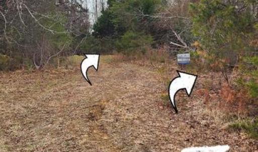 Photo #11 of 1064 HUNTERS LODGE RD, TROY, VA 10.2 acres