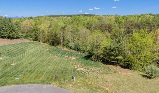 082-Lot 24 Pine Watch Cir 01