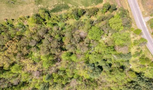 083-Lot 24 Pine Watch Cir 02