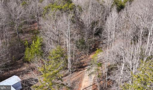 Photo #25 of 6650 HOOK CT, SPOTSYLVANIA, VA 5.0 acres