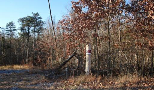 Photo #5 of LOOKOUT DR, SHENANDOAH, VA 3.1 acres