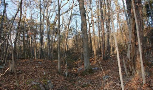 Photo #7 of LOOKOUT DR, SHENANDOAH, VA 3.1 acres