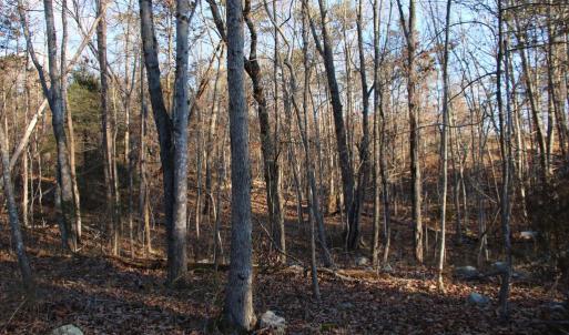 Photo #1 of LOOKOUT DR, SHENANDOAH, VA 3.1 acres