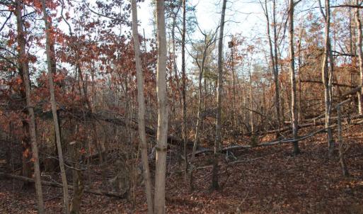 Photo #13 of LOOKOUT DR, SHENANDOAH, VA 3.1 acres