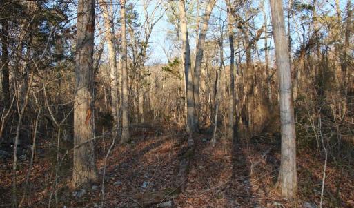Photo #8 of LOOKOUT DR, SHENANDOAH, VA 3.1 acres