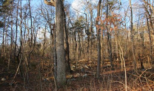 Photo #10 of LOOKOUT DR, SHENANDOAH, VA 3.1 acres